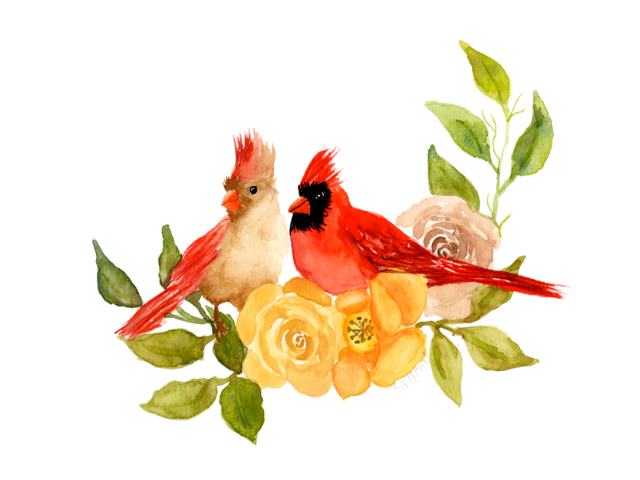 Cardinal Art, Titled Two Cardinals, Amazing Grace, Giclée on Paper or Mounted to Wood on sale